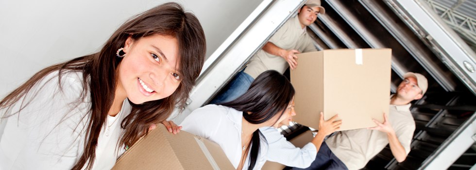 Professional Removalists Homeleigh